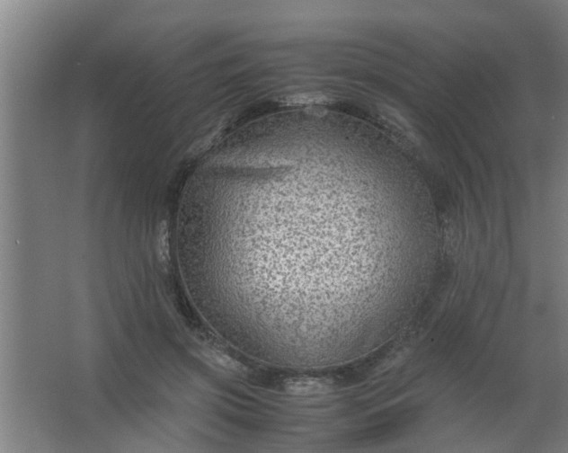 X0000063460549200602031836