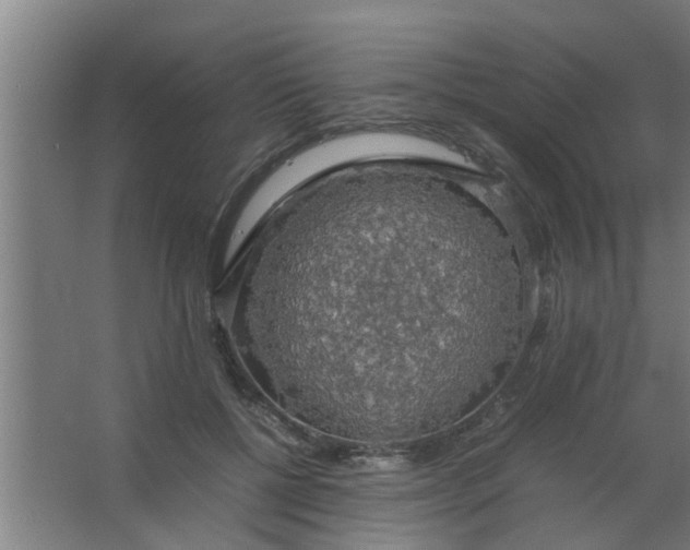 X0000063460552200602031836