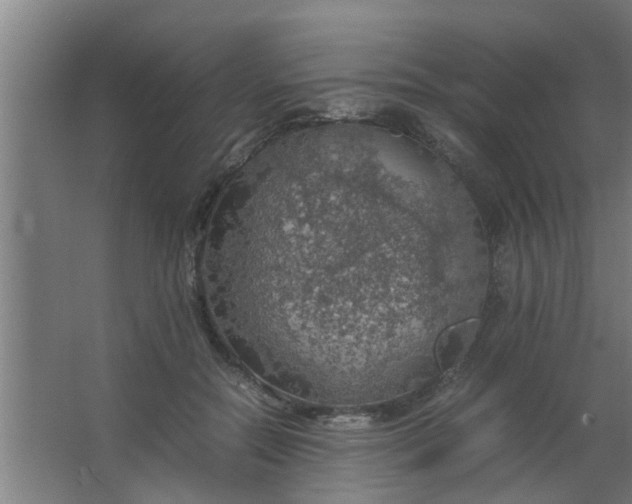 X0000063460554200602031836