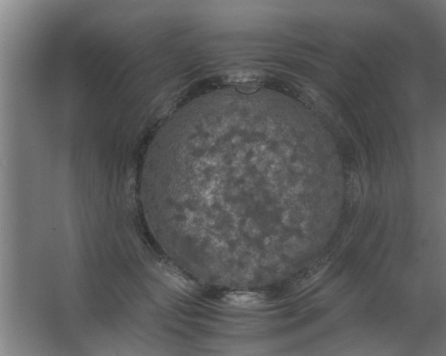 X0000063460557200602031837