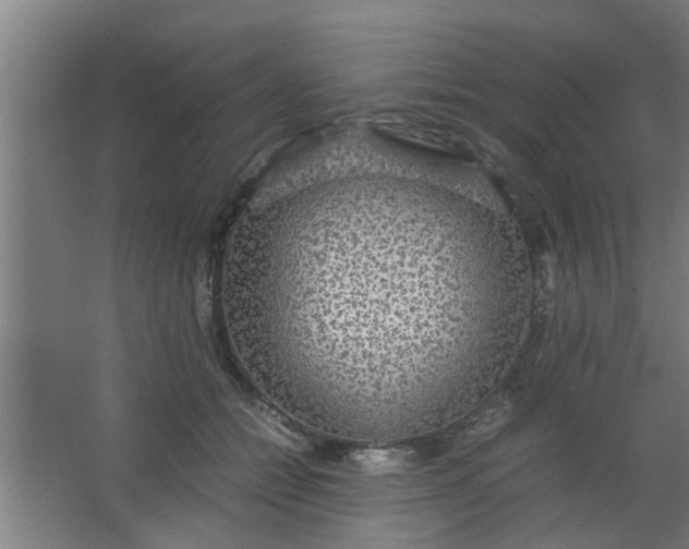 X0000063460558200602031837