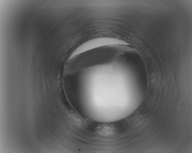 X0000063460559200602031837