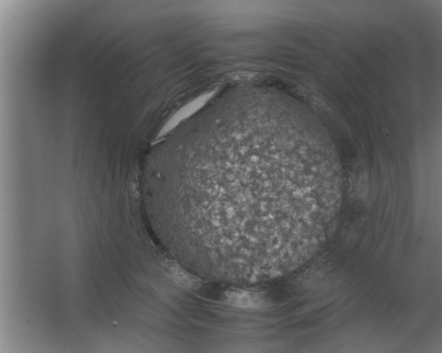 X0000063460561200602031837