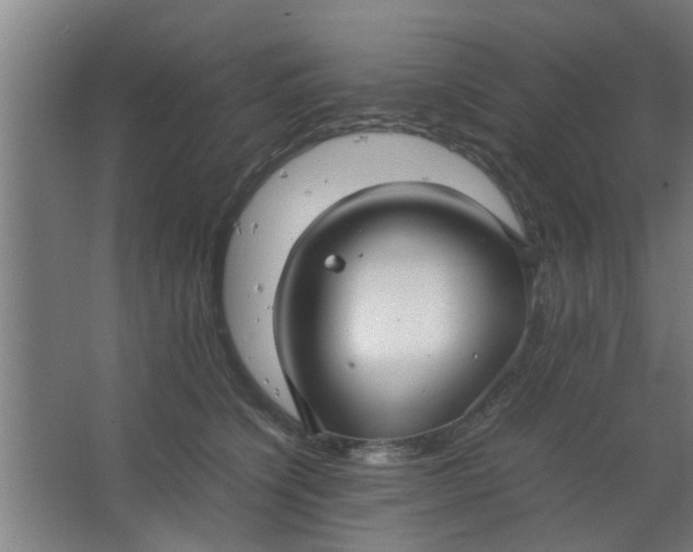 X0000063460564200602031837