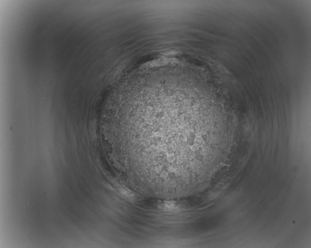 X0000063460565200602031837