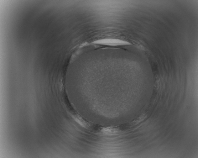 X0000063460568200602031837