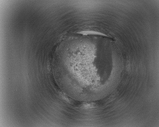 X0000063460569200602031837