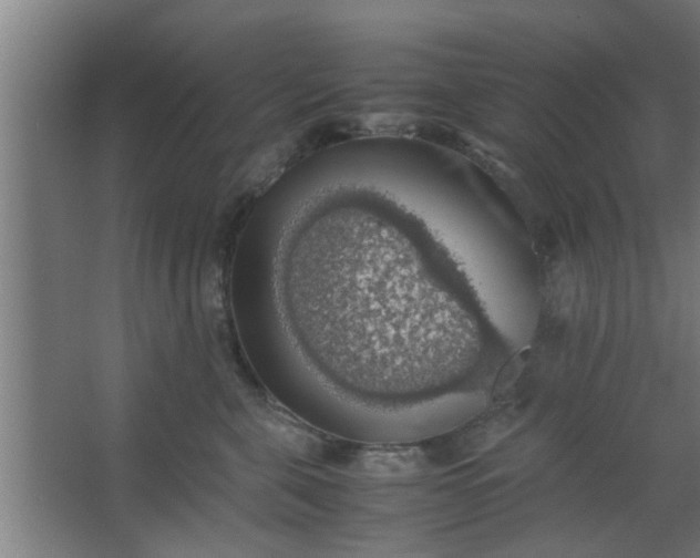 X0000063460571200602031837