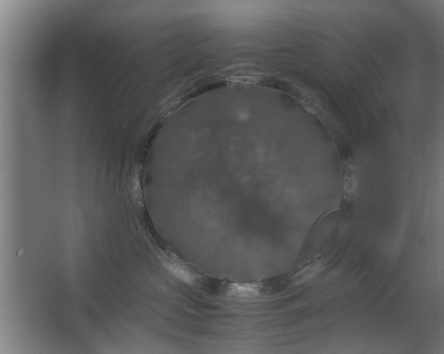 X0000063460573200602031837