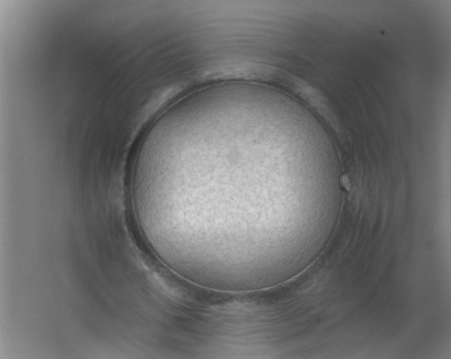 X0000063460578200602031836