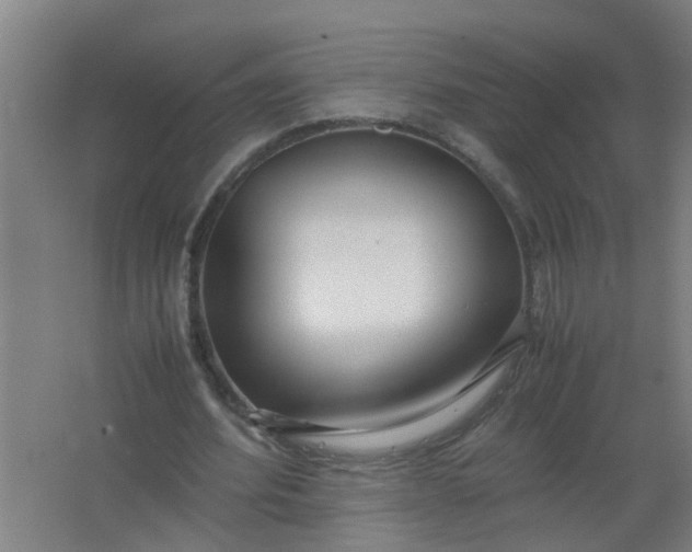 X0000063460580200602031836