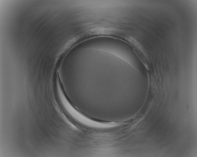 X0000063460581200602031836