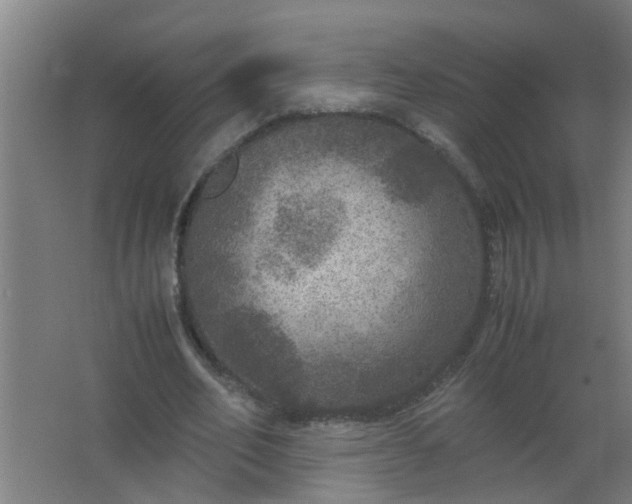 X0000063460582200602031836