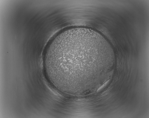 X0000063460584200602031836