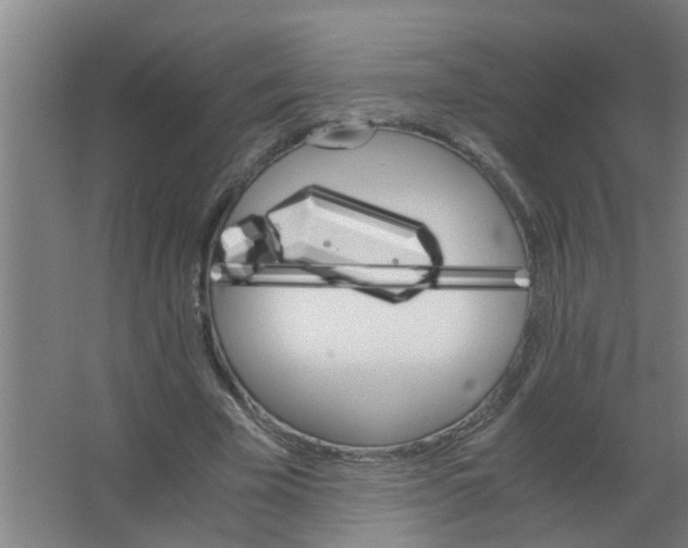 X0000063460585200602031836