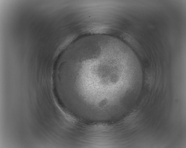 X0000063460586200602031836