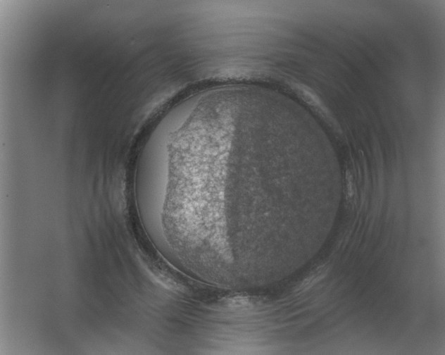 X0000063460588200602031836