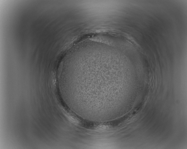 X0000063460593200602031836