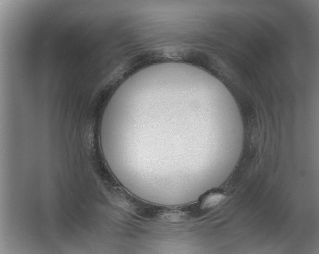 X0000063460595200602031836