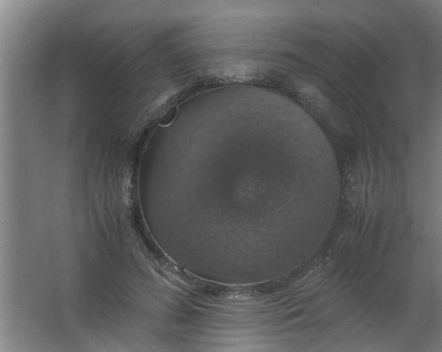 X0000063460596200602031836