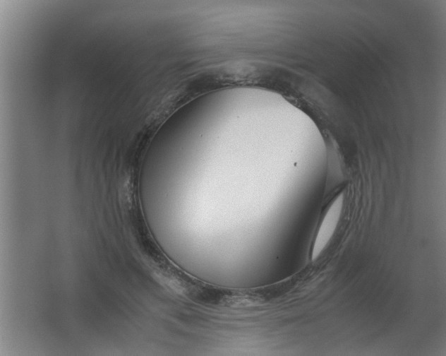 X0000063460597200602031836