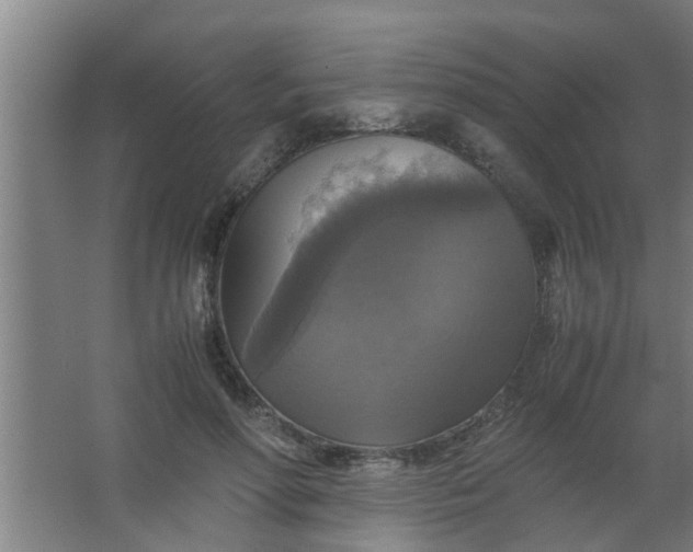 X0000063460598200602031836