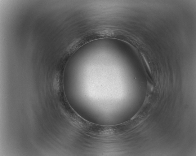 X0000063460600200602031836