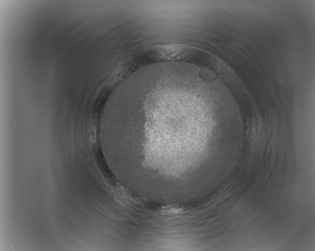 X0000063460602200602031836