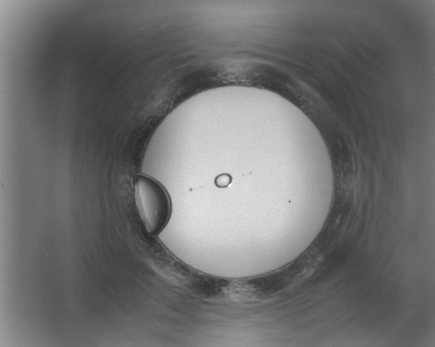 X0000063460603200602031836