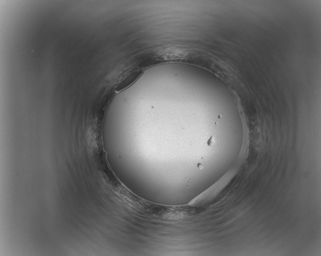 X0000063460604200602031836