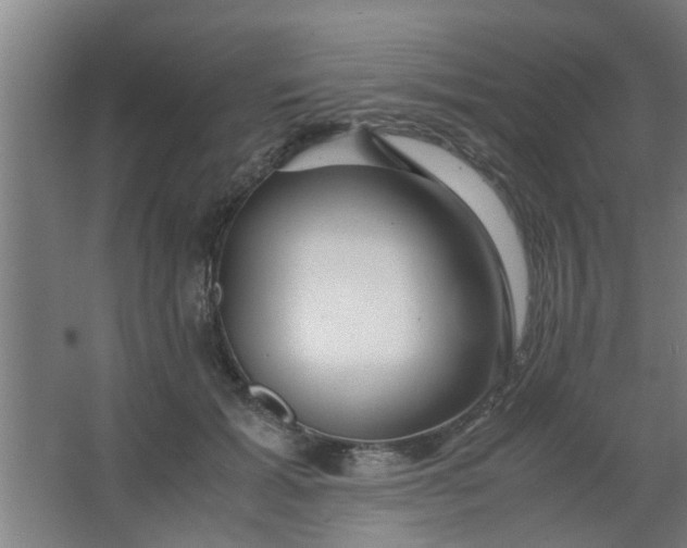 X0000063460605200602031836