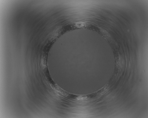 X0000063460606200602031836