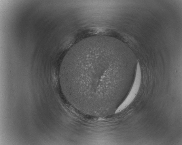 X0000063460607200602031836