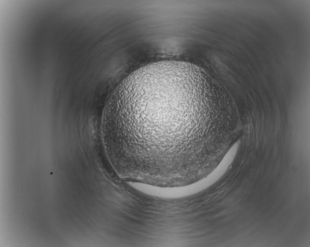 X0000063460608200602031836