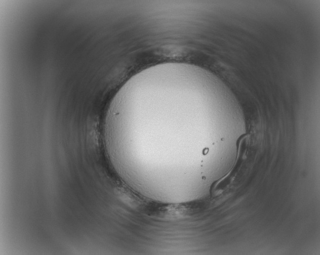 X0000063460612200602031835