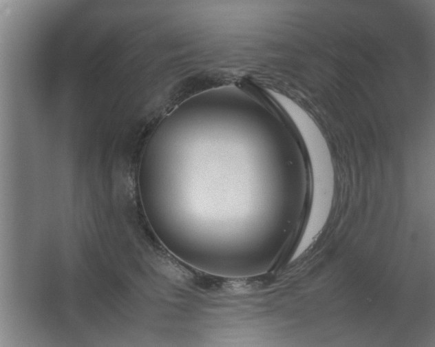 X0000063460613200602031835