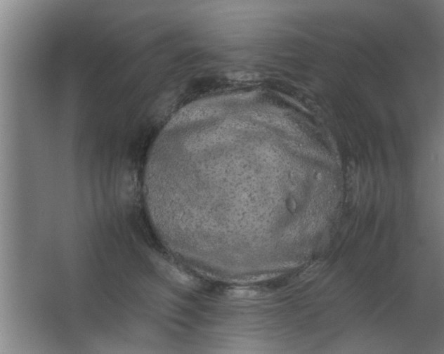 X0000063460614200602031835