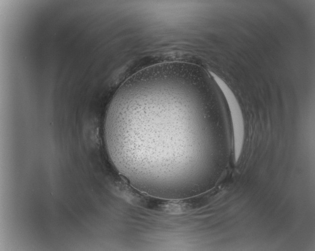 X0000063460615200602031835