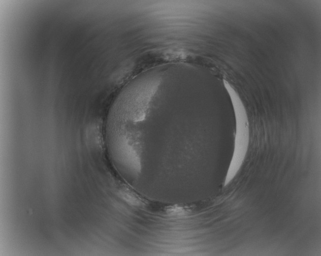 X0000063460616200602031835