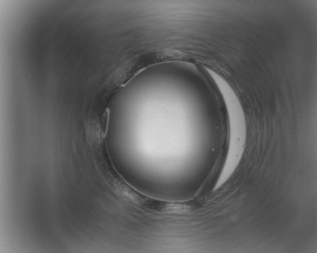 X0000063460617200602031835