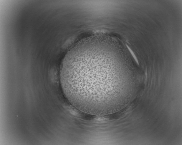 X0000063460619200602031835