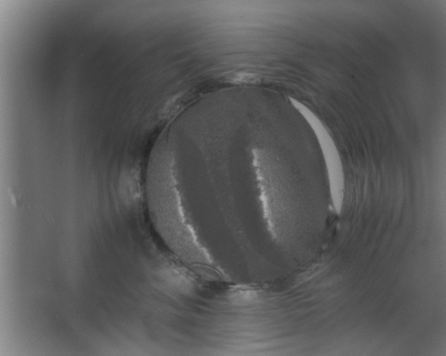 X0000063460620200602031835