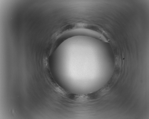 X0000063460621200602031835