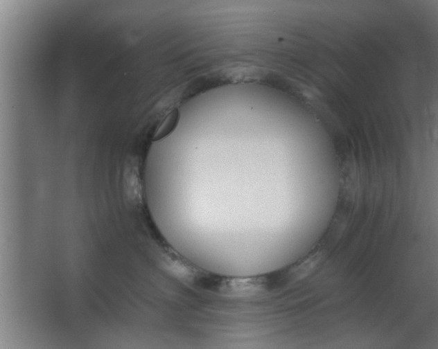 X0000063460622200602031835