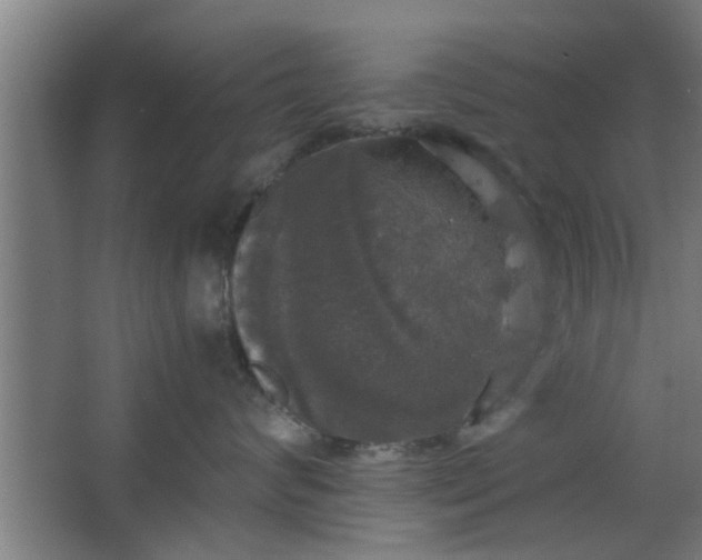 X0000063460624200602031835