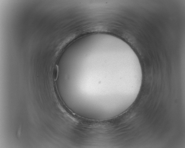 X0000063460625200602031834