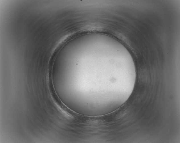 X0000063460629200602031834