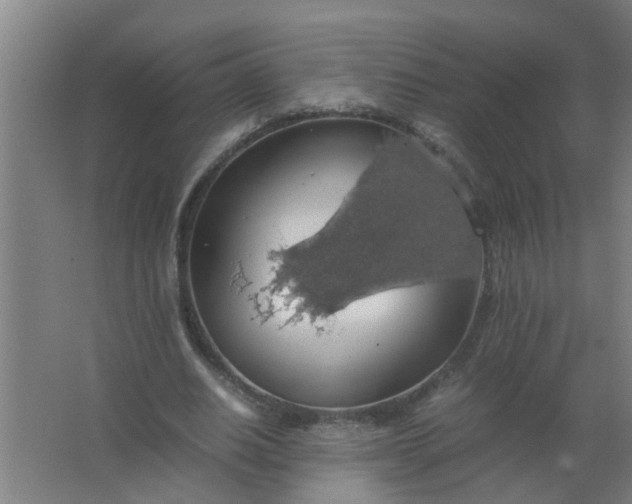 X0000063460630200602031835