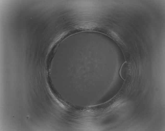 X0000063460634200602031835