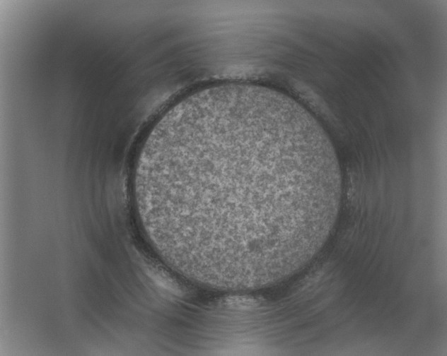 X0000063460636200602031835